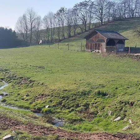 Grosse Tolle 4 Im Herzen Des Odenwaldes *