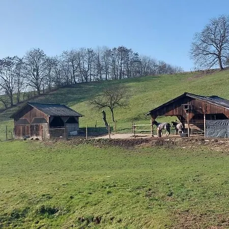 Grosse Tolle 4 Im Herzen Des Odenwaldes *