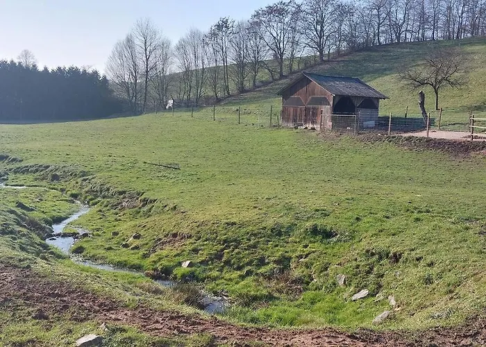 Grosse Tolle 4 Im Herzen Des Odenwaldes *