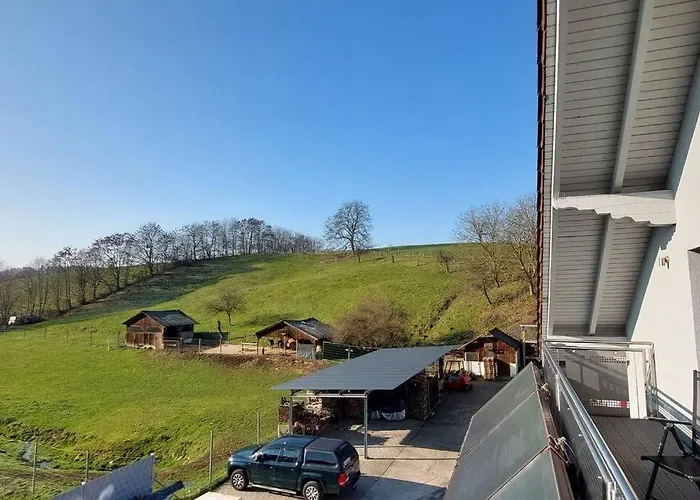 Grosse Tolle 4 Im Herzen Des Odenwaldes Apartment