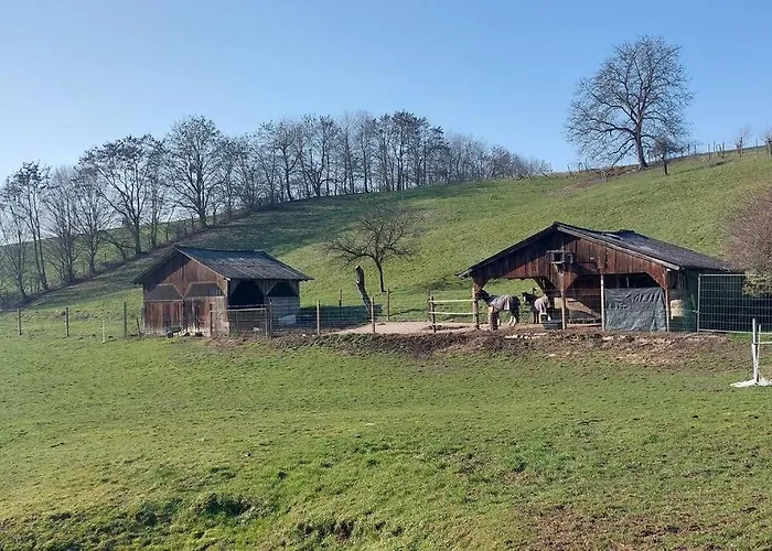 Daire Grosse Tolle 4 Im Herzen Des Odenwaldes